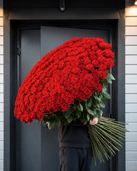 Crimson Rose Grandeur
