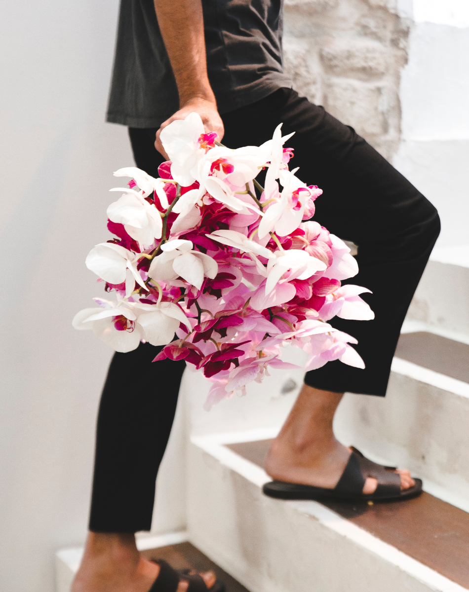 Phalaenopsis Pack
